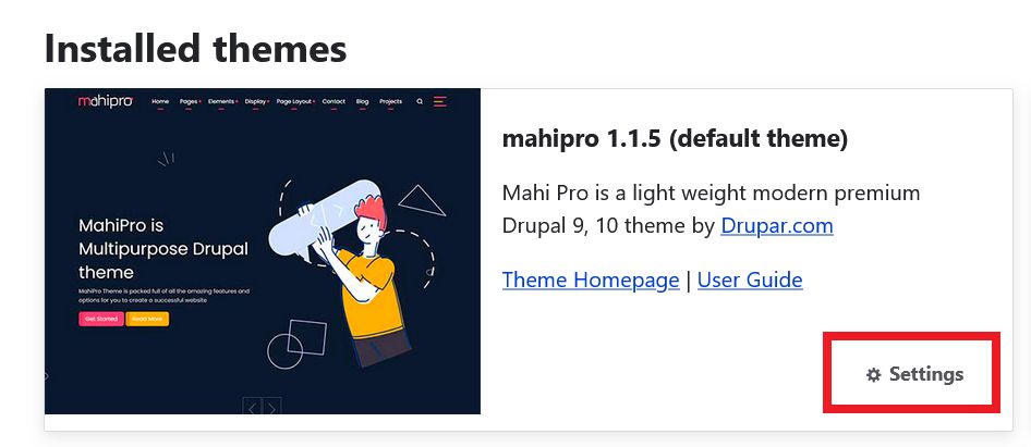 MahiPro Theme Settings