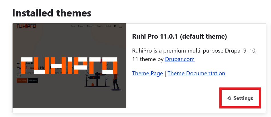 RuhiPro Theme Settings